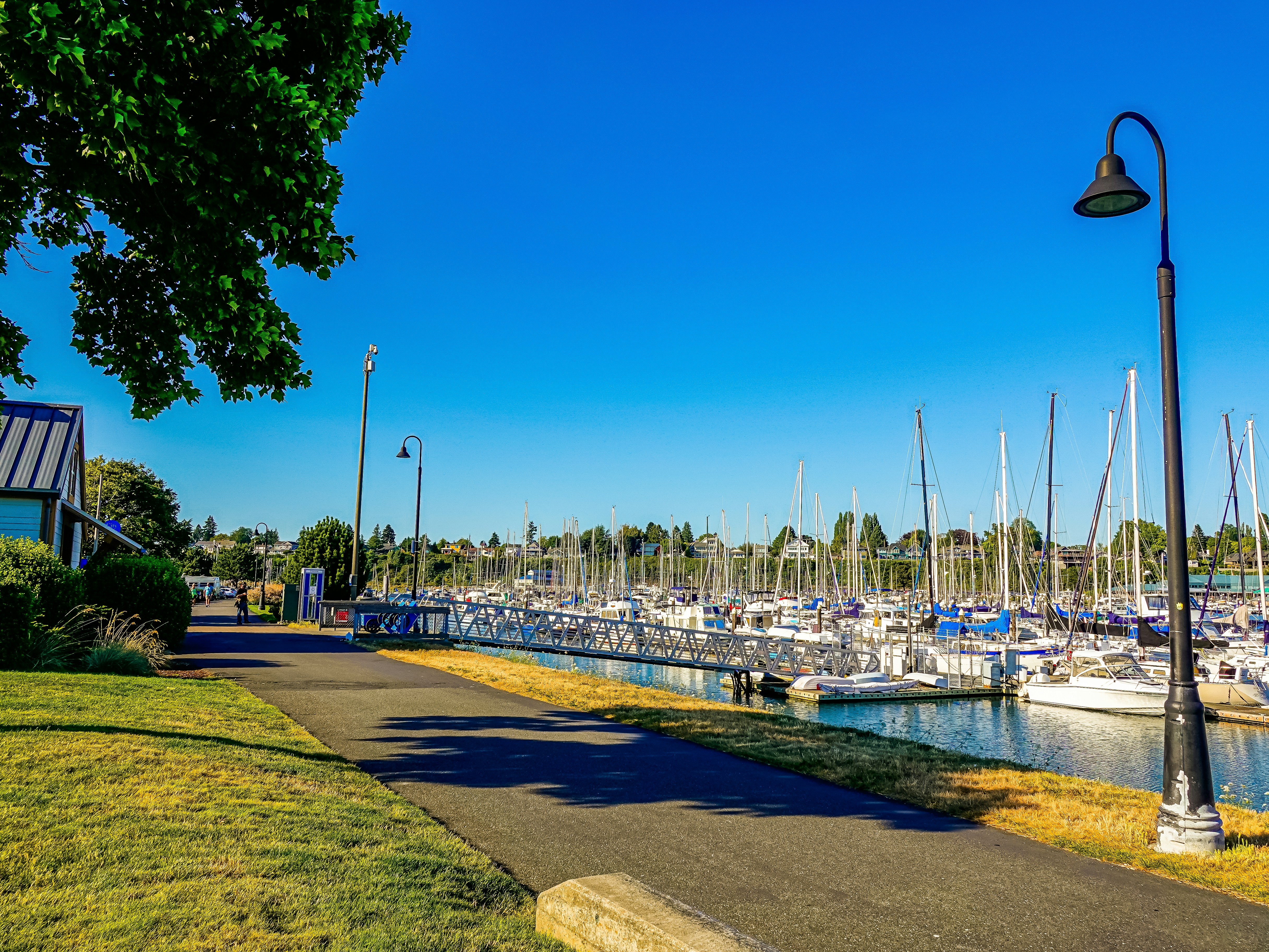 Bellingham marina